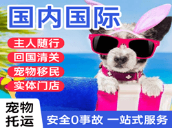 西双版纳机场邮寄国际宠物托运 【国